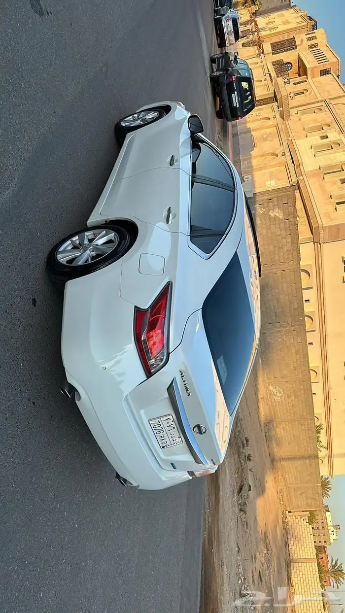 التيما فل الفل 2015 19
