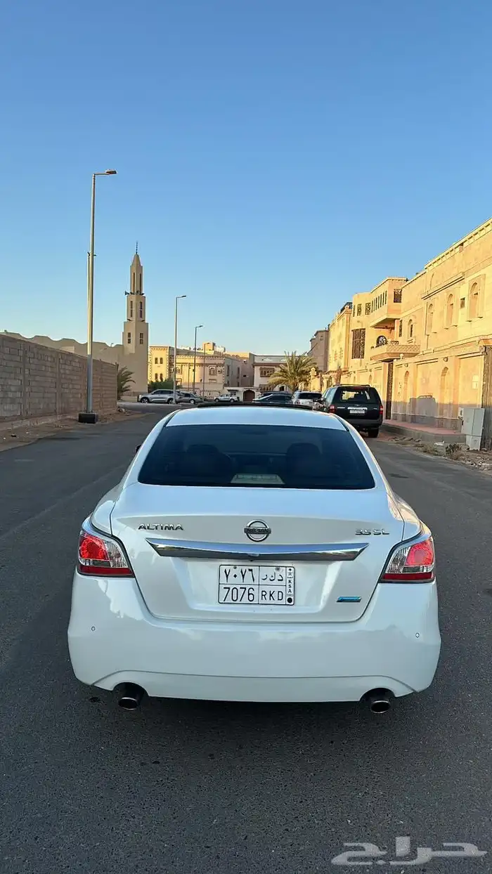 التيما فل الفل 2015 18