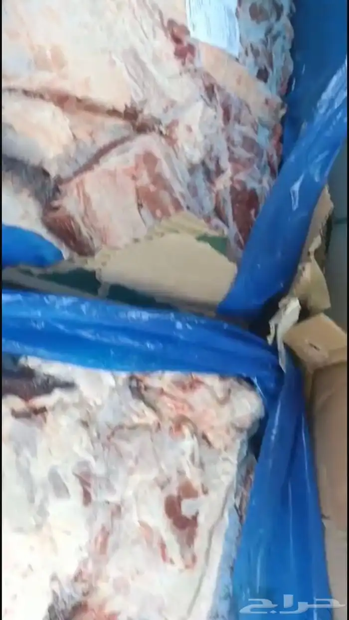 لحم بقري استرالي مجمد بدون عظم 2