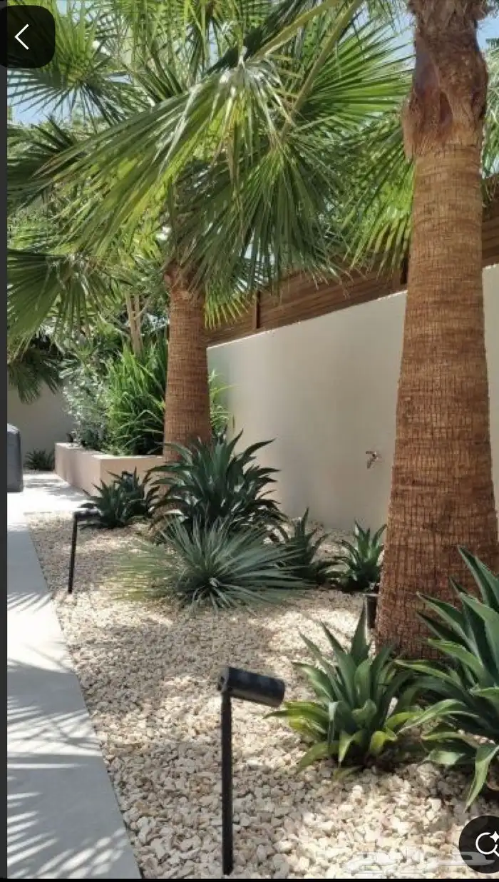 أعمال زراعة وصيانة للبيوت والمشاريع التجارية 0