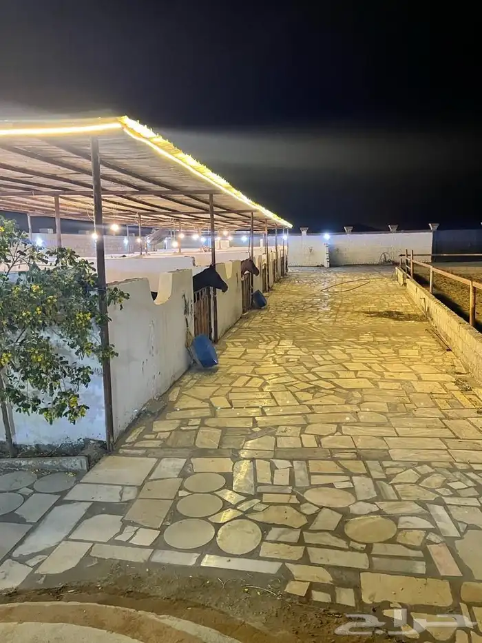 مربط الكيان للإيواء وخدمات الخيل 5