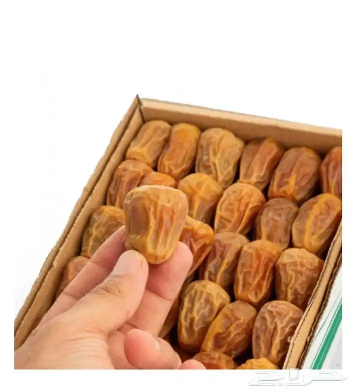 توفير تمور طازجه يوميا من سوق الجمله لتمور 5