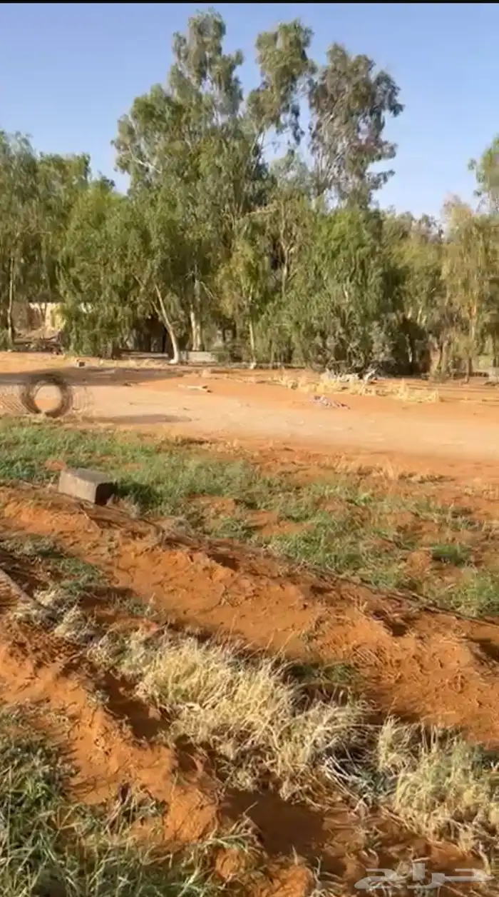 استرحه لا الجيجار اليومي 0