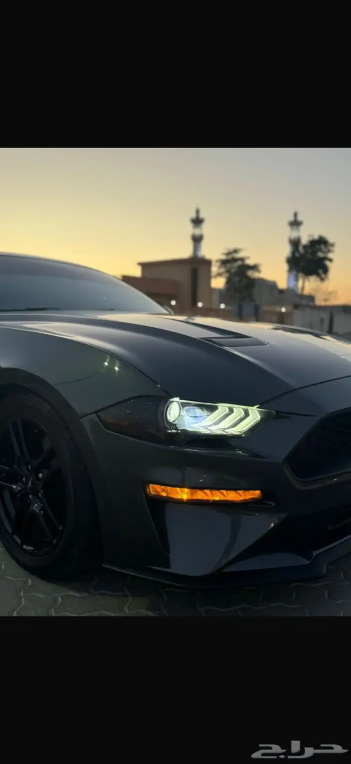 فورد موستنق Ecoboost 2020 لوحات امراتية. 5