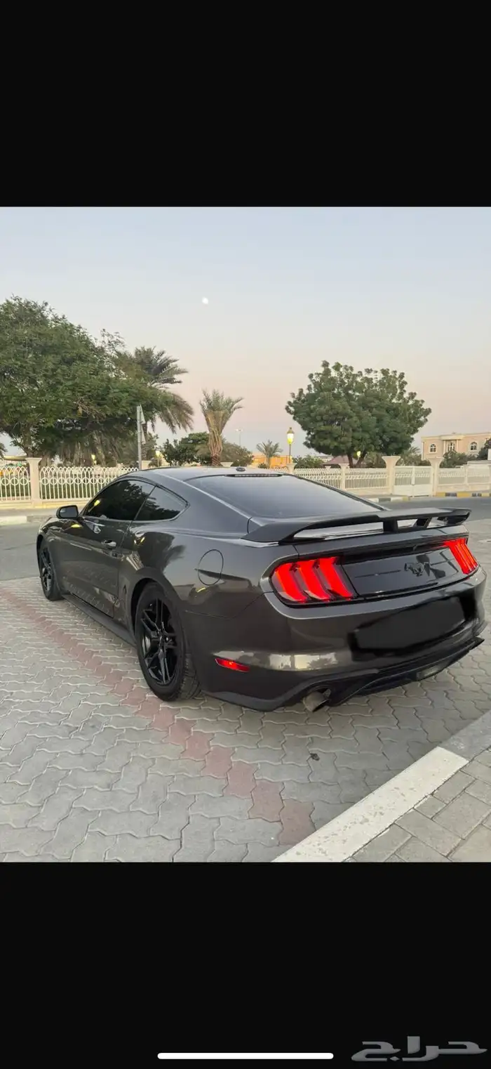 فورد موستنق Ecoboost 2020 لوحات امراتية. 4