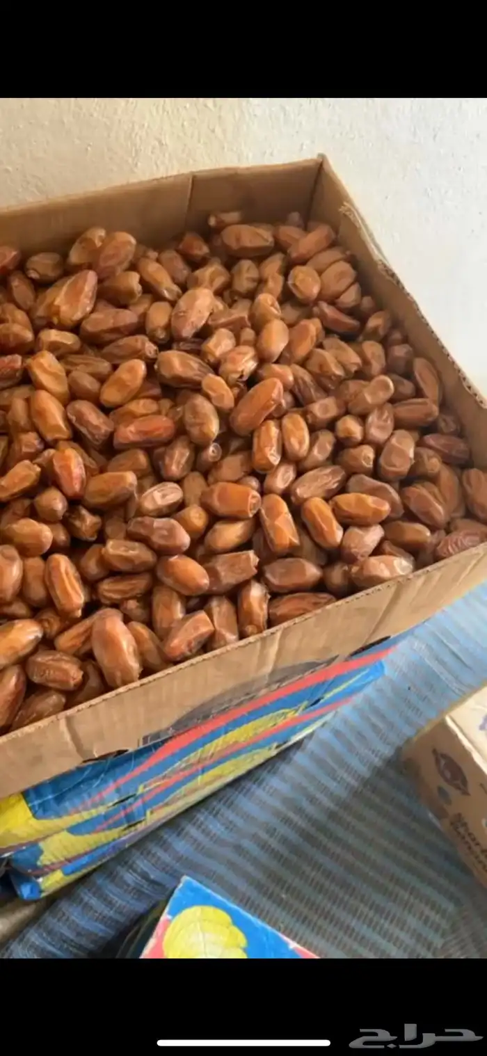 صفري بيشه 1