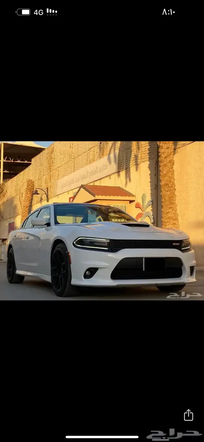 دوج 13