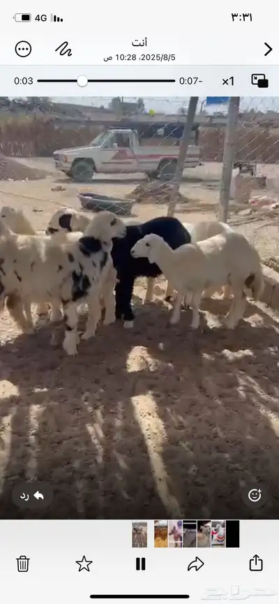 ذبائح الهجرة index