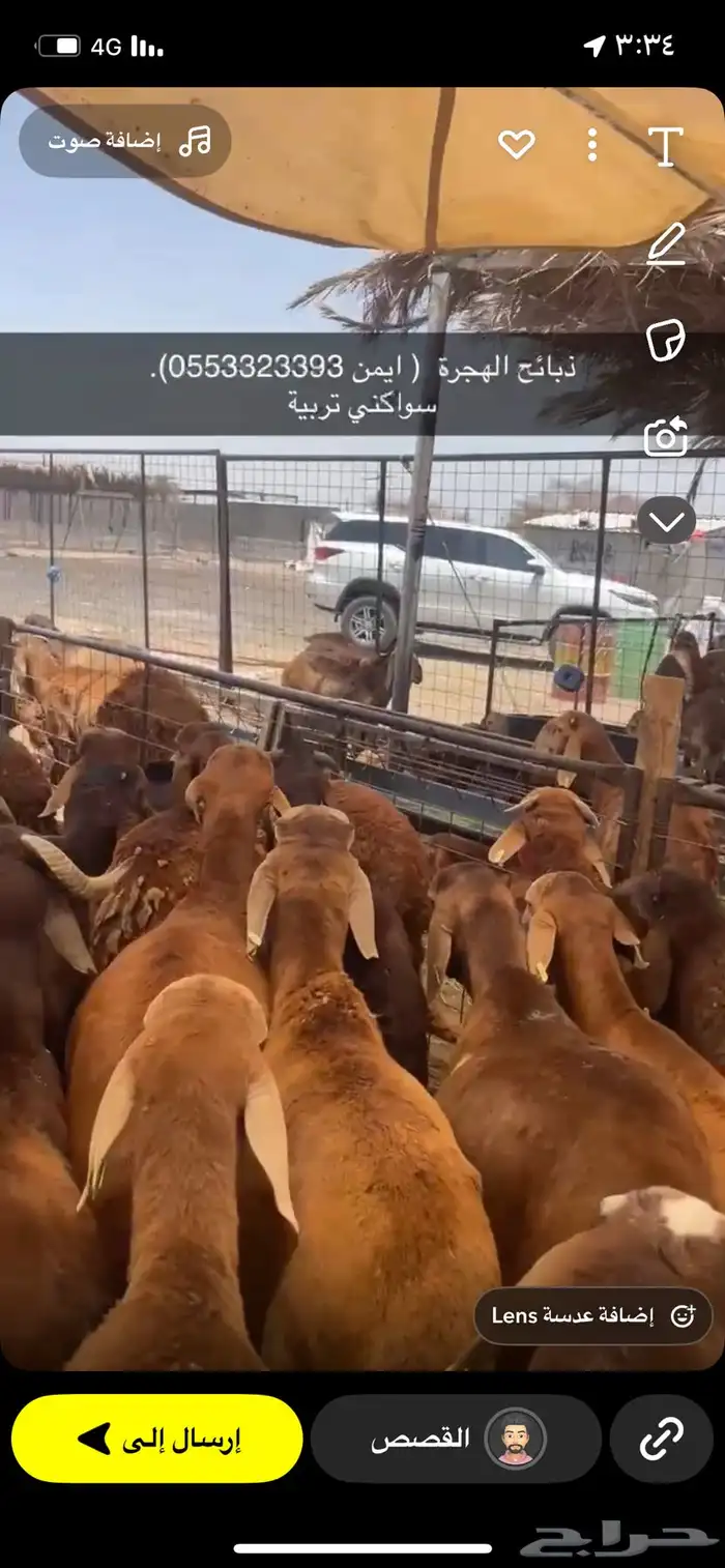 ذبائح الهجرة 2