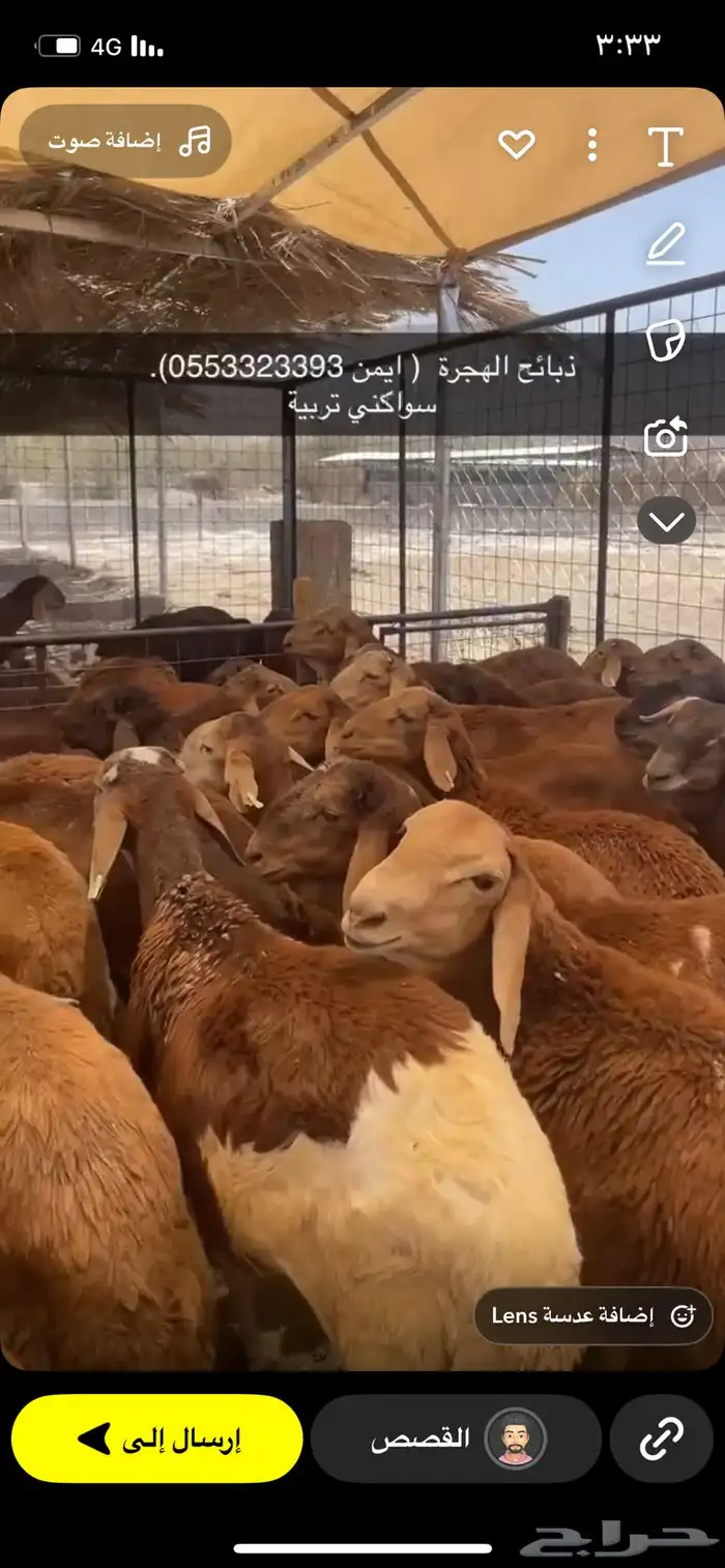 ذبائح الهجرة 3