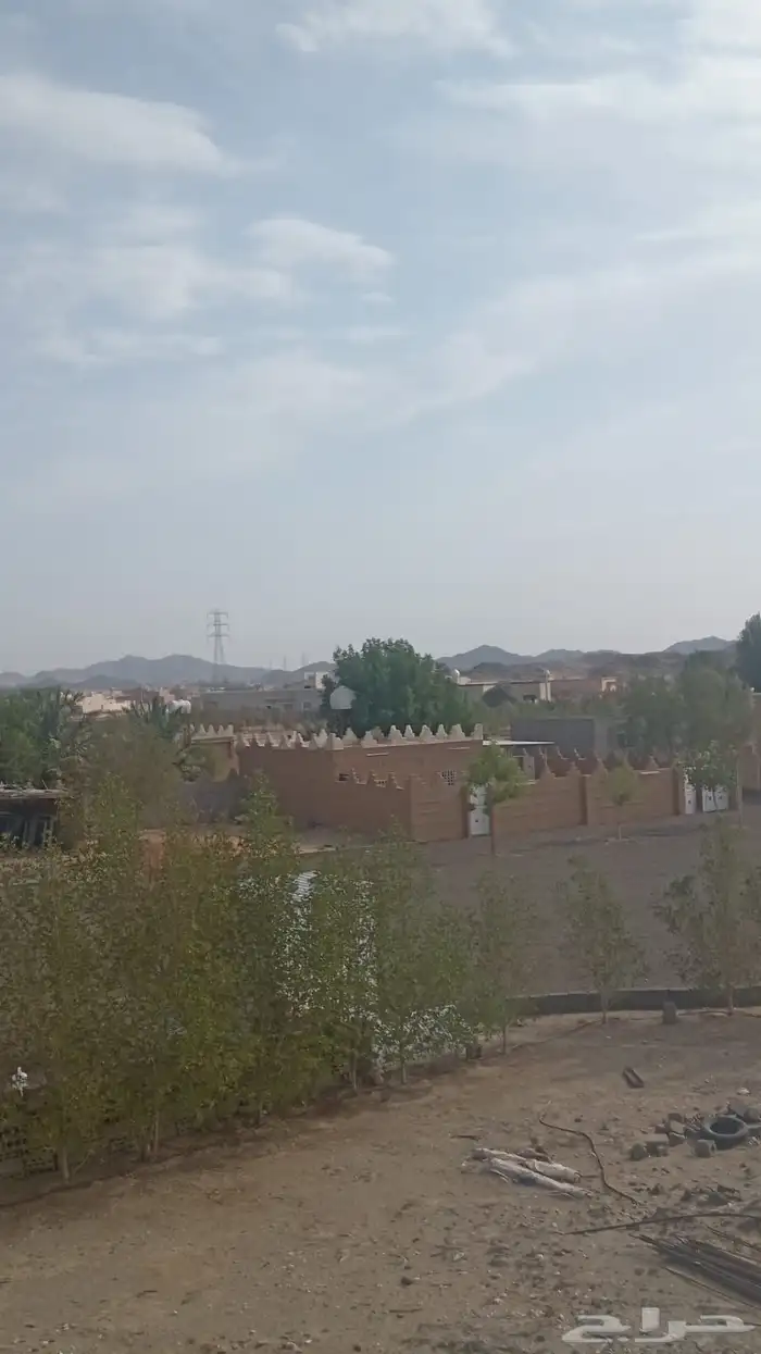 للبيع او للايجار مزرعه فيها استراحه وعدد 4بيوت بهجره السرداح 9