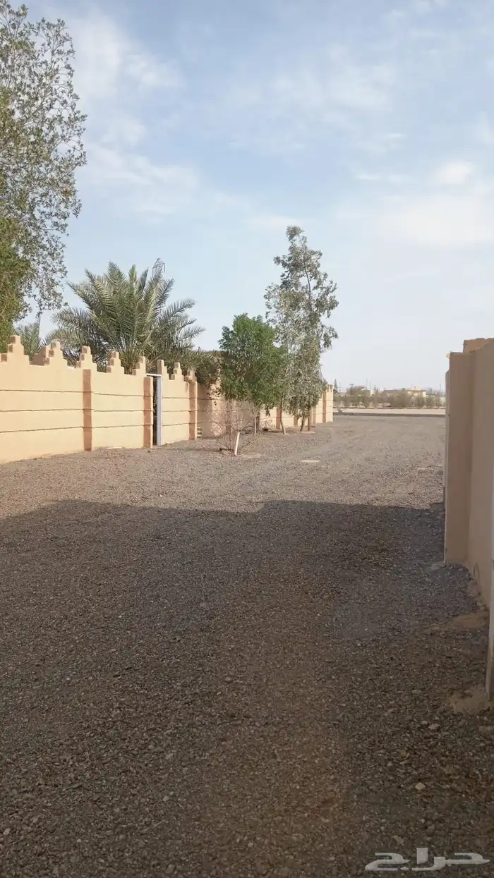 للبيع او للايجار مزرعه فيها استراحه وعدد 4بيوت بهجره السرداح 5