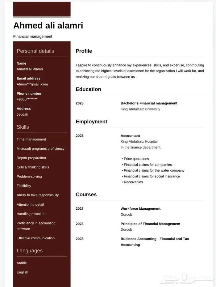 سيرة ذاتية احترافيةpdf تزيد فرصة توظيفك 3