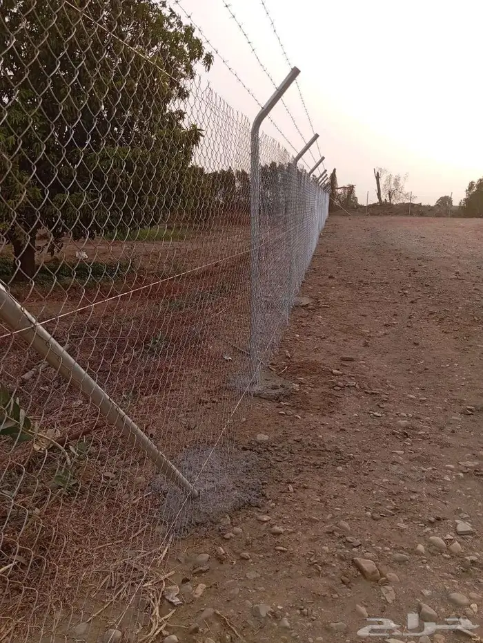 مقاول شبوك 3