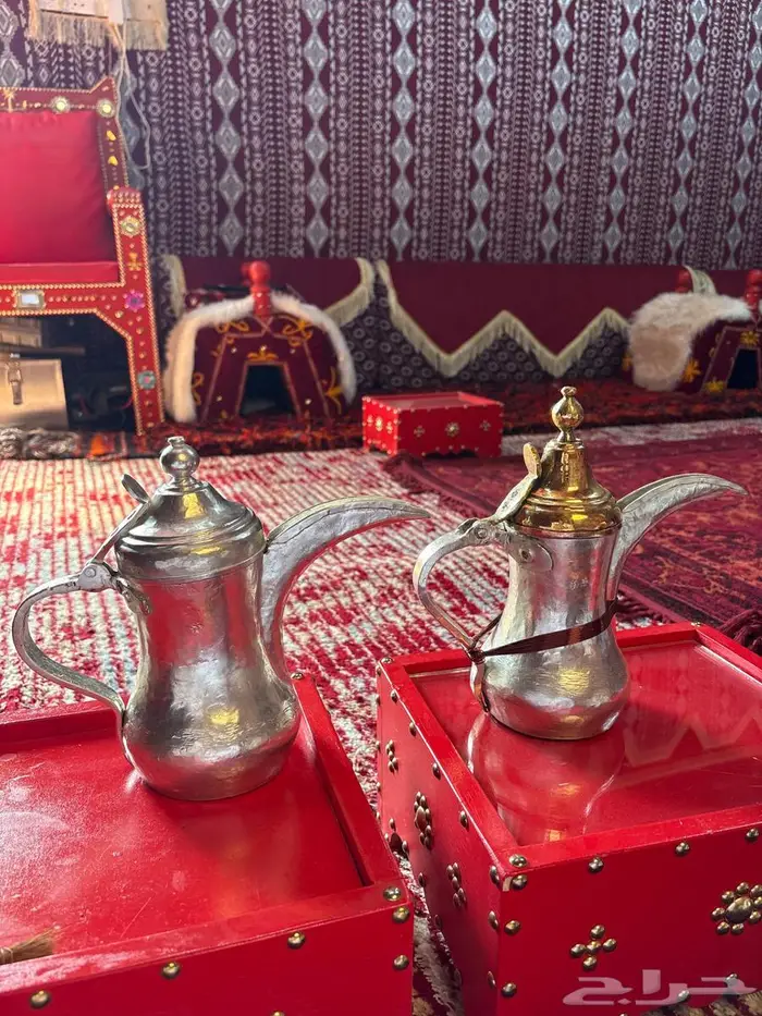 عرعر 3