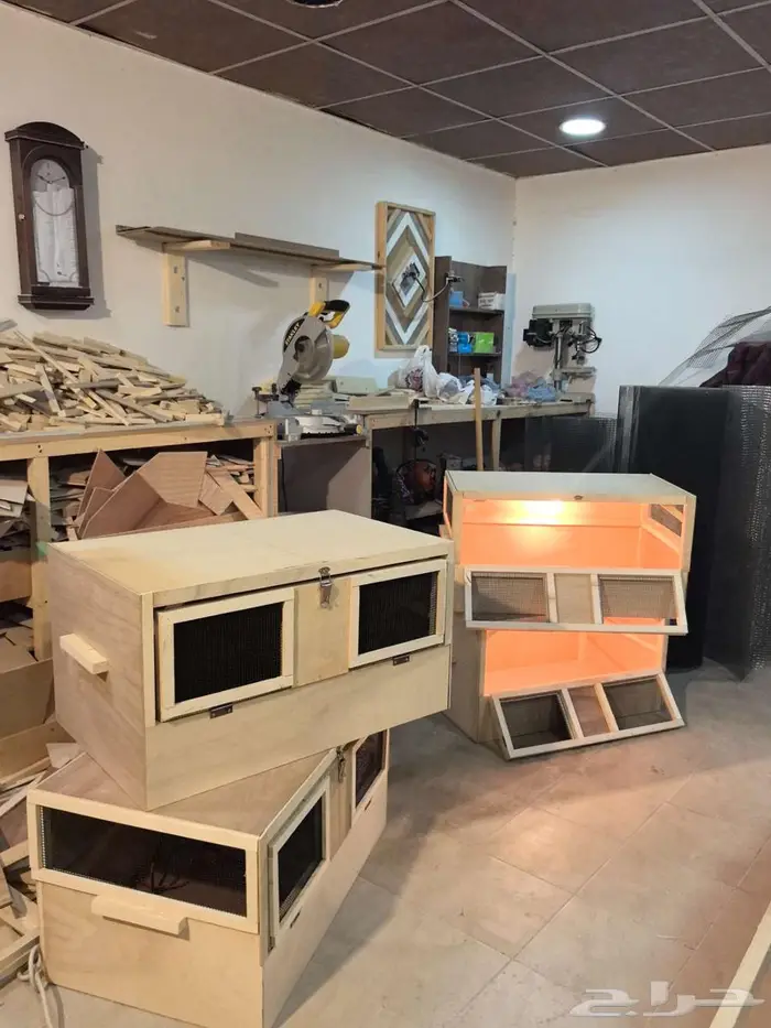 حضانات صوص إنتاج دواجن 1