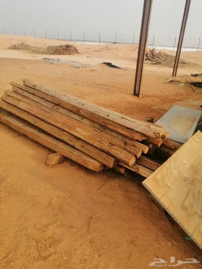 شبوك ومراكيز ابل وغنم ودجاج 17