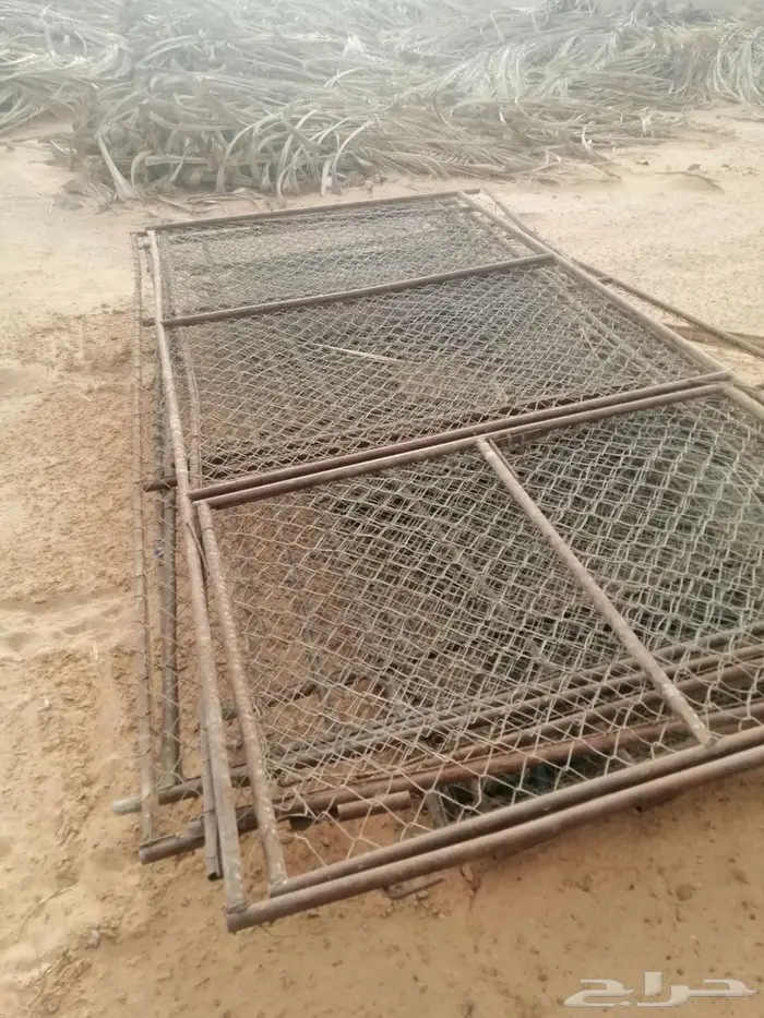 شبوك ومراكيز ابل وغنم ودجاج 14