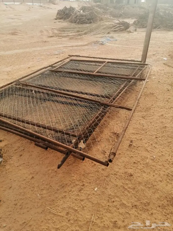 شبوك ومراكيز ابل وغنم ودجاج 12