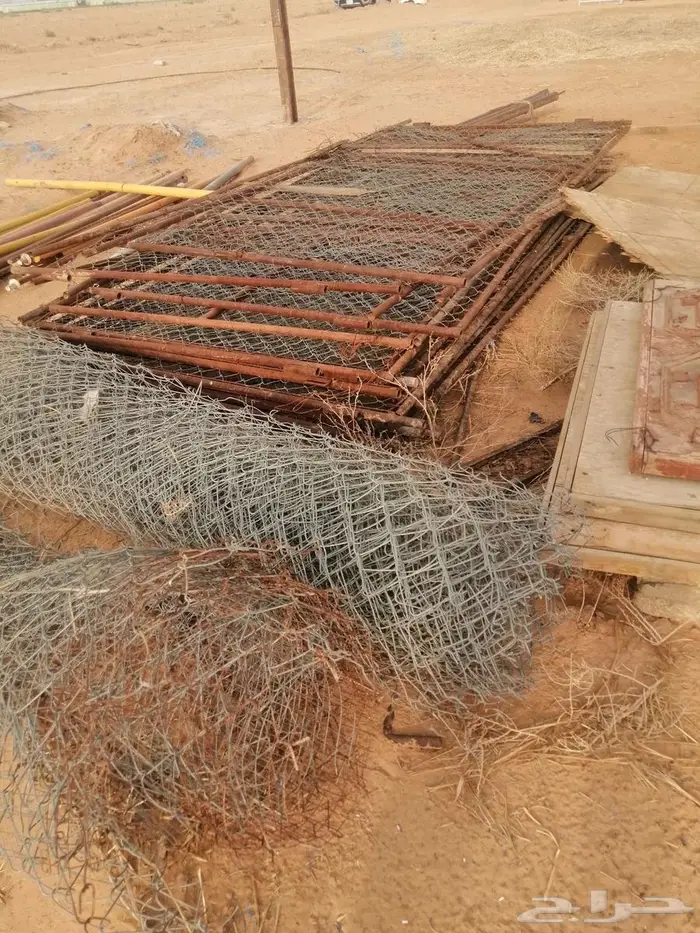 شبوك ومراكيز ابل وغنم ودجاج 6