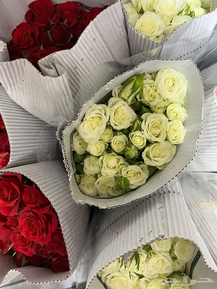 ورد طبيعي بالجمله 7