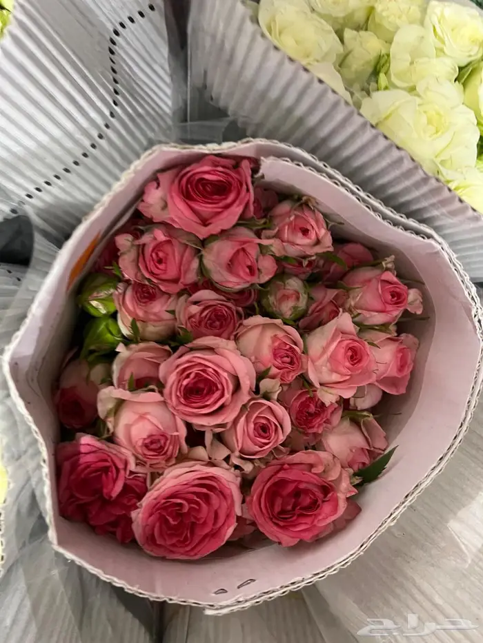 ورد طبيعي بالجمله 8