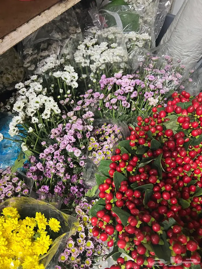 ورد طبيعي بالجمله 19