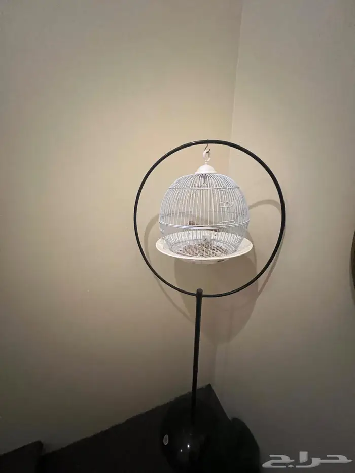 قفص عصافير نظيف 0
