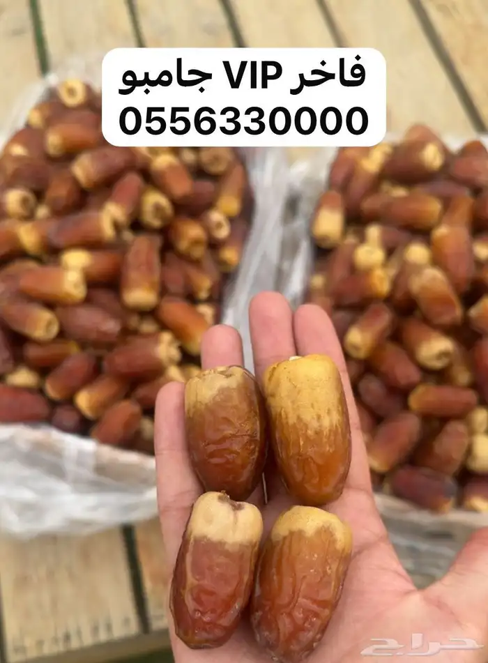 صقعي فاخر جامبو طلبيات خاصة 0