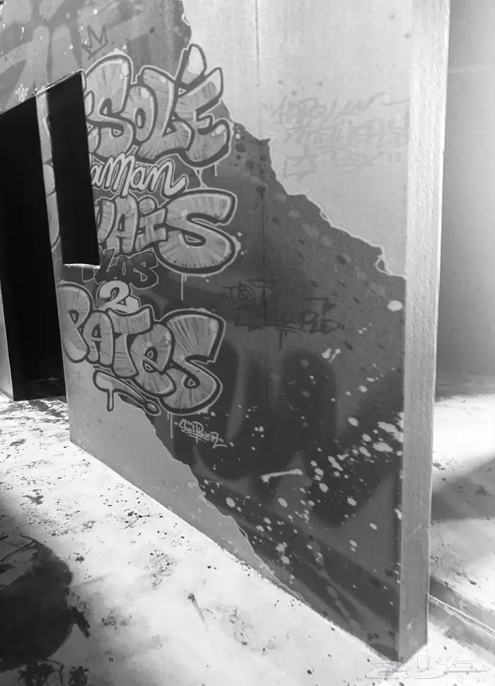 رسامة جداريات وفعاليات وخط جرافيتي 6