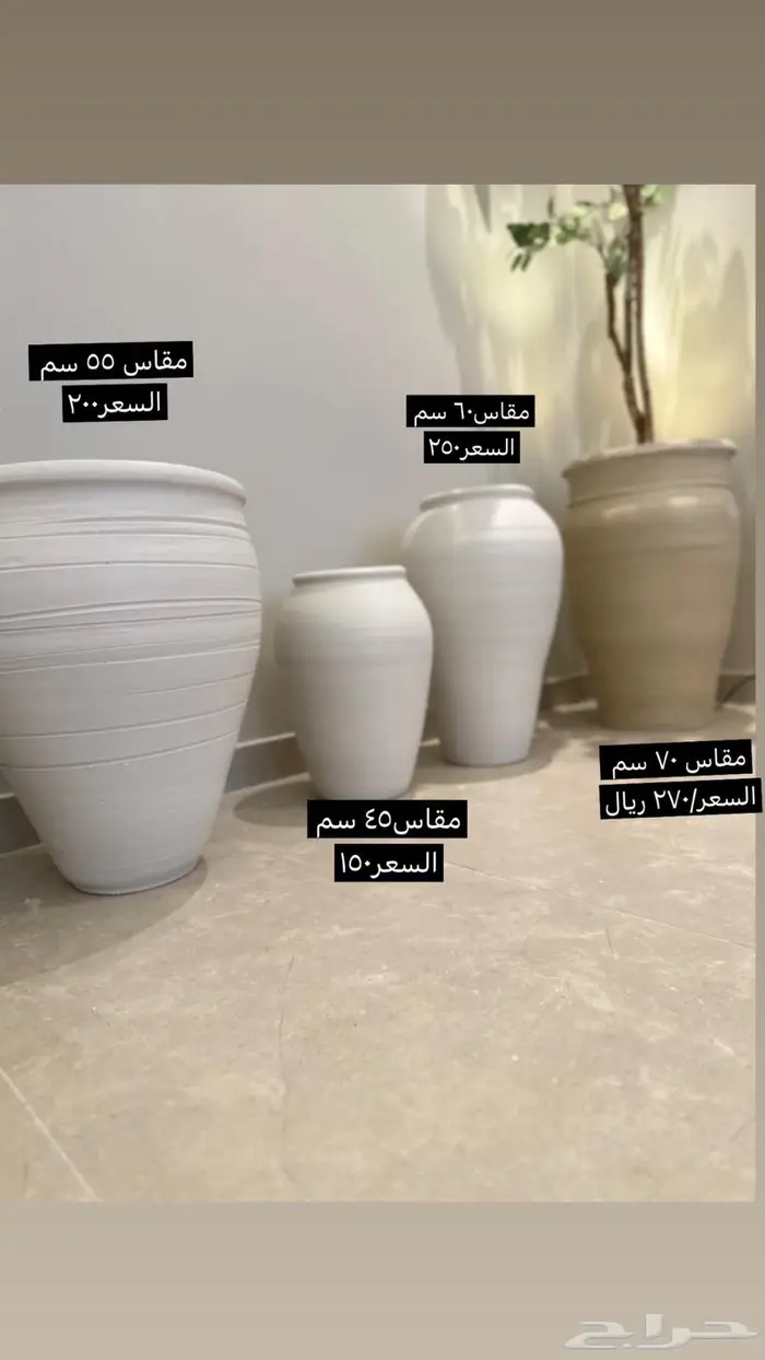 مراكن الاشجار بعروض 0