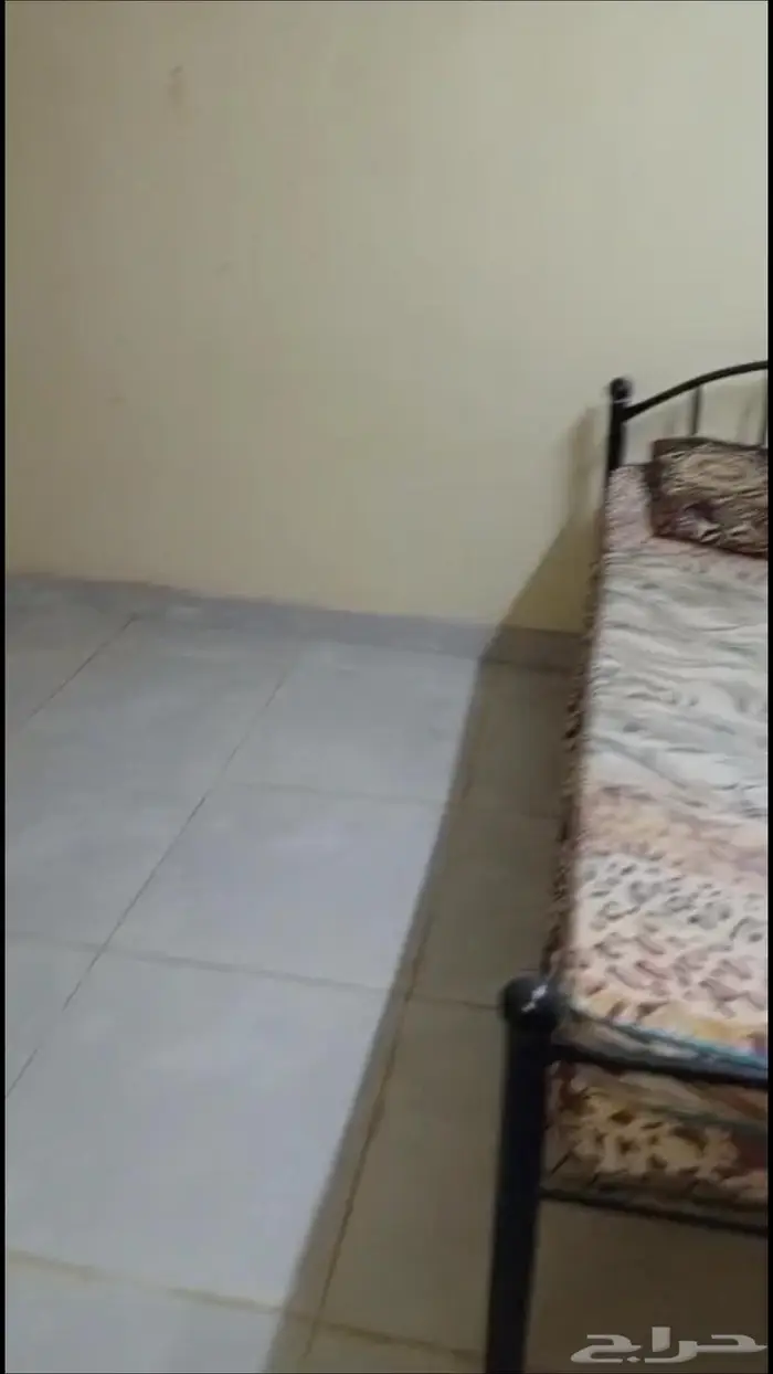 جيزان ابوحجر 6
