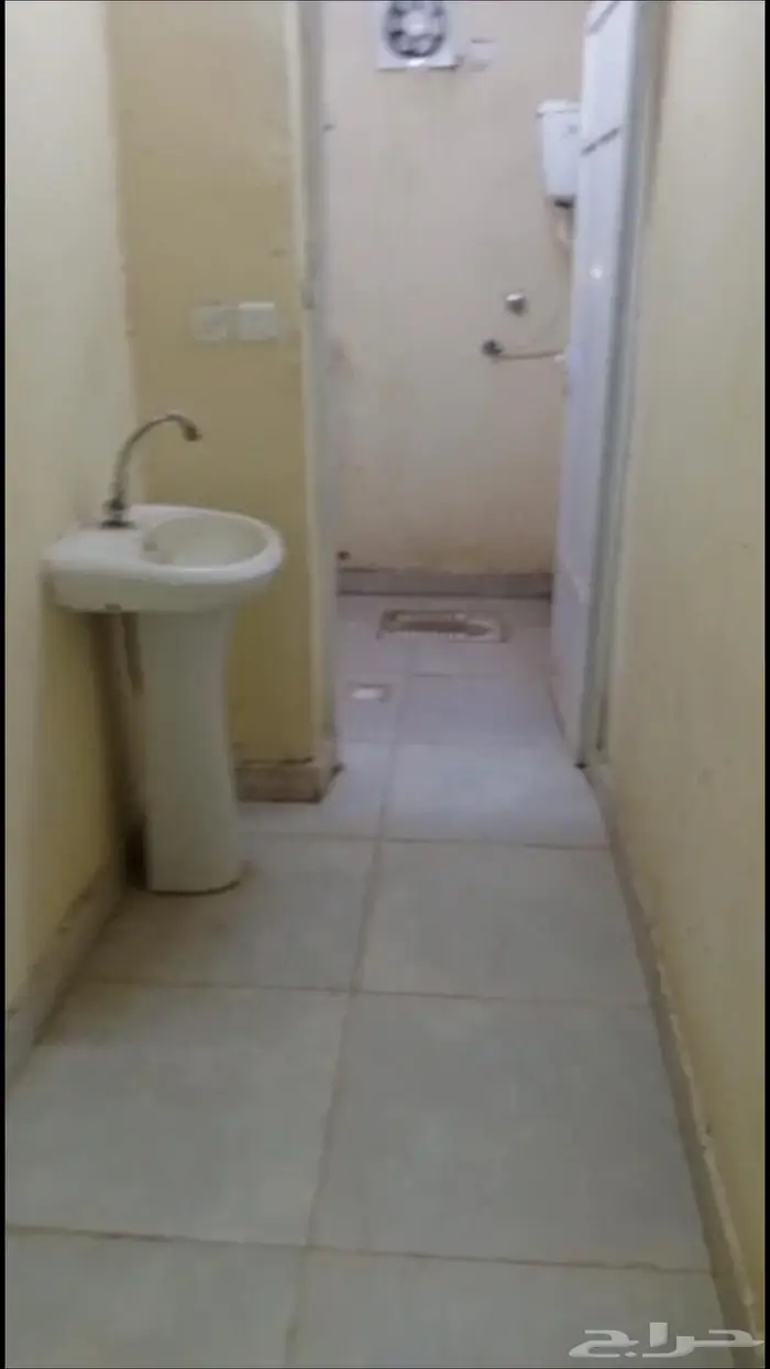 جيزان ابوحجر 0