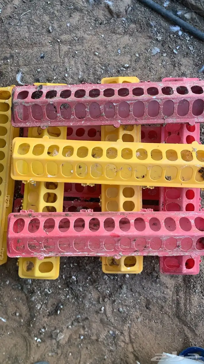 معالف وعوامات للدواجن 2