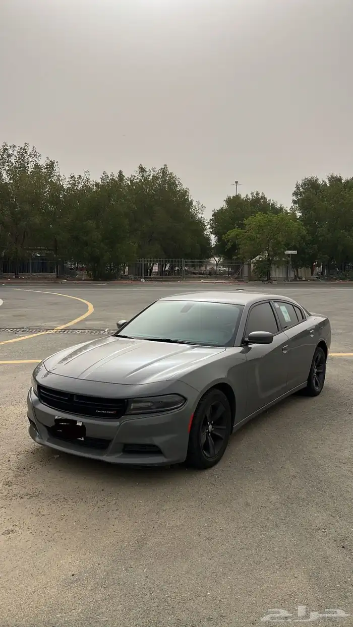 دوج 2019 1