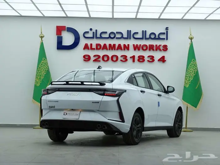 دونج فينج شاين E1 2025 جديد وحصري 2