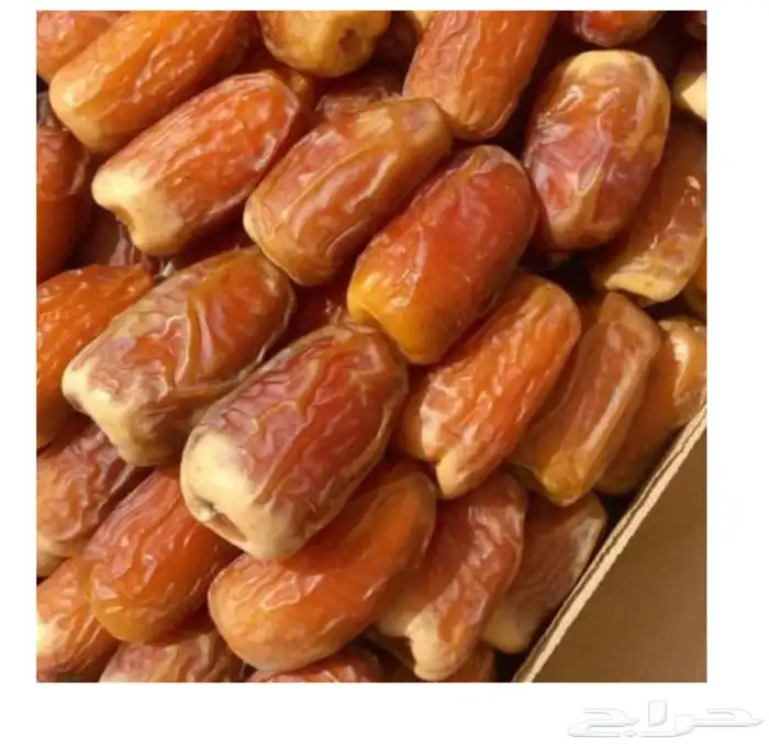 توفير تمور طازجه يوميا من سوق الجمله لتمور 1