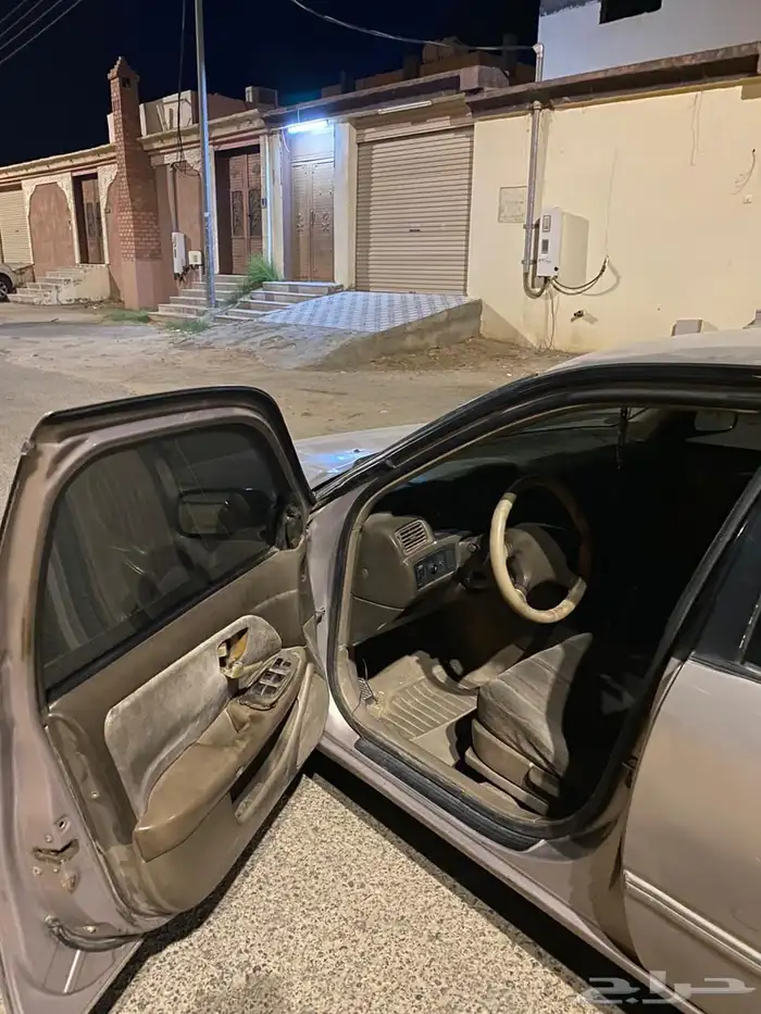 تيماء 7
