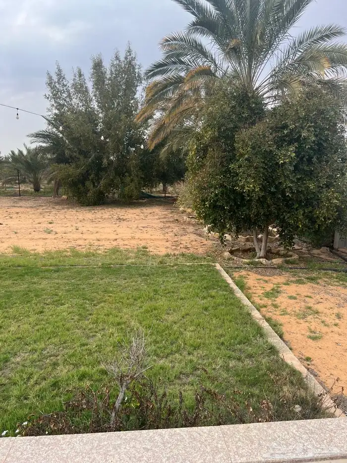 للبيع مزرعه عيون الجواء القصيم 19