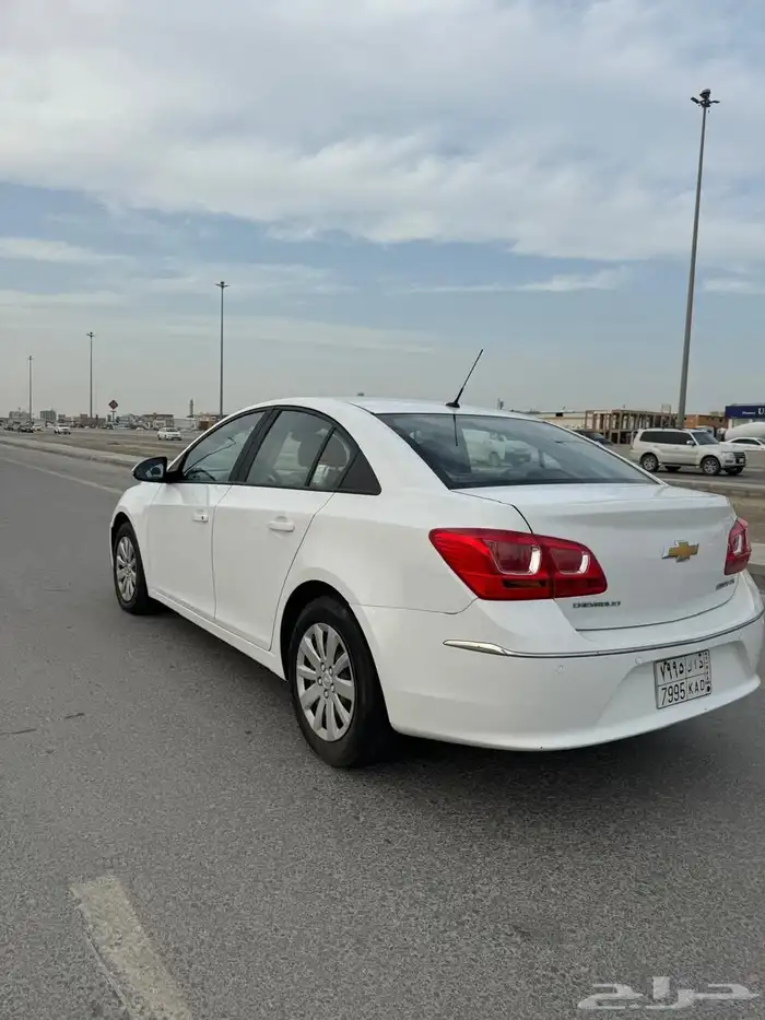 كروز 2017 1