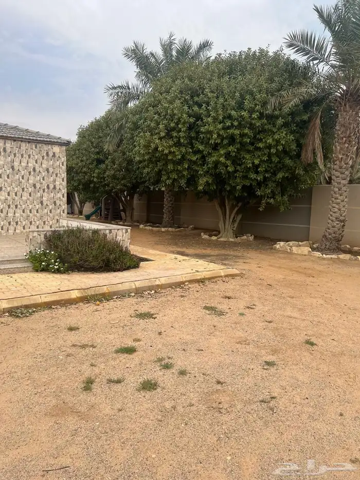 للبيع مزرعه عيون الجواء القصيم 18