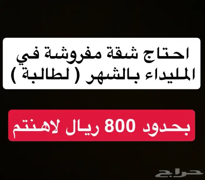 ابحث عن شقة مفروشة 0