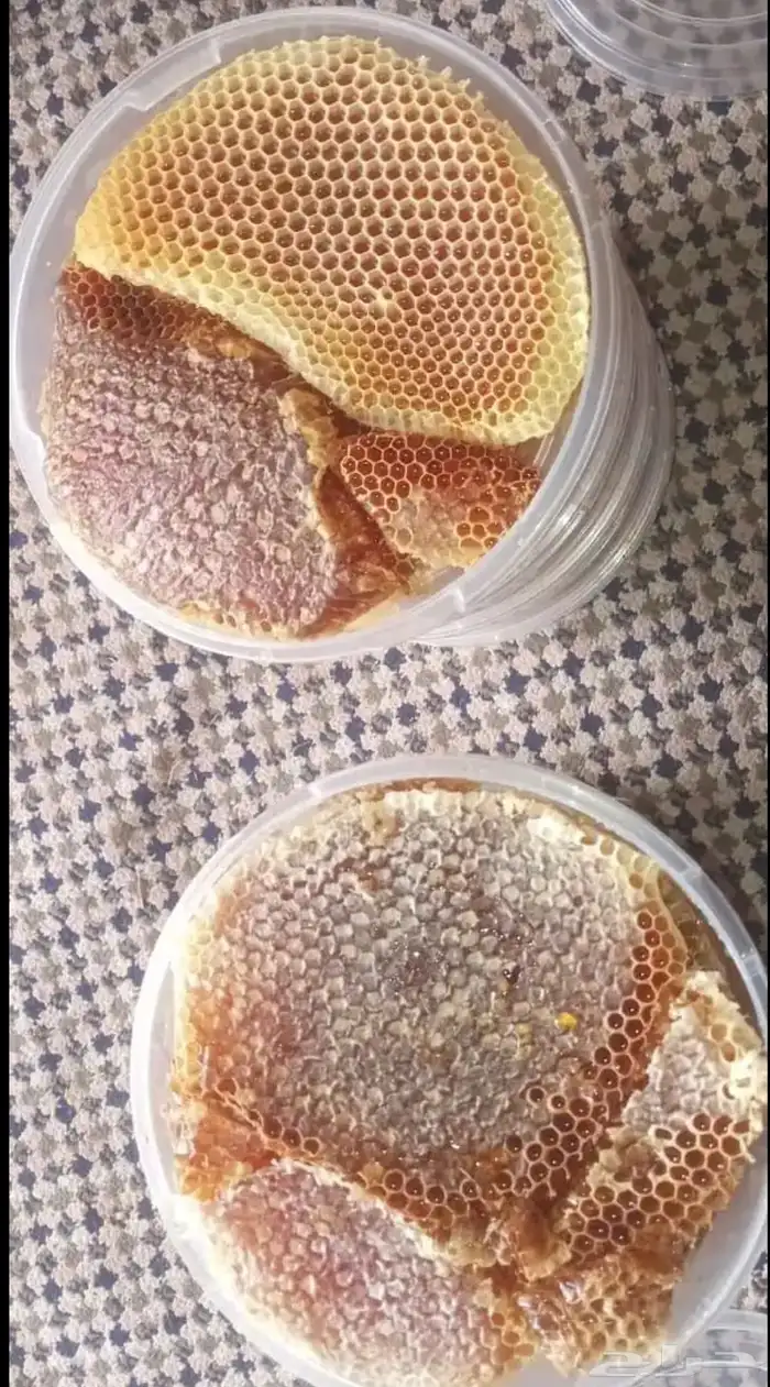 عسل سدر وسمرة على الشرط خاضع للفحص المجهري والمخبري 3