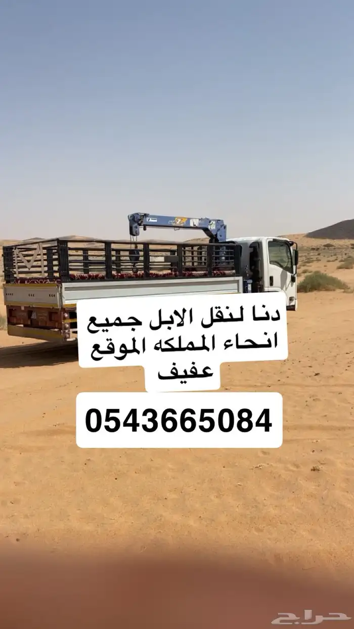 دنا لنقل الابل 0