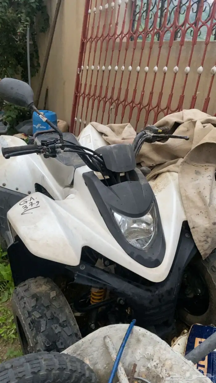 دباب للبيع 1