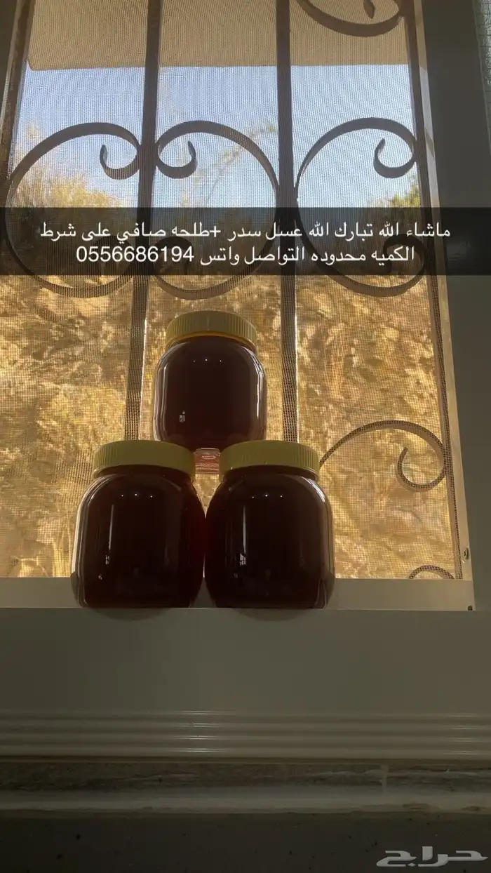 للبيع عسل سدر اصلي وبلدي 0