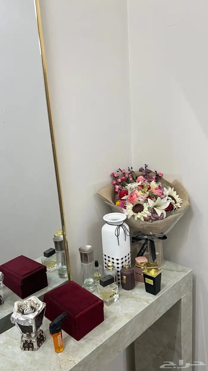 مدخل استقبال 4