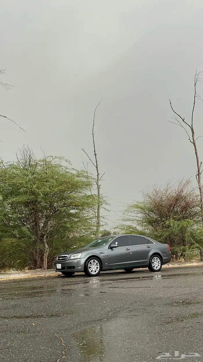 كابرس Ls 2013 2