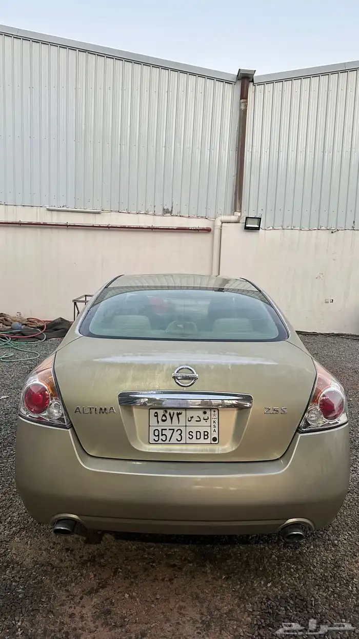 التيما 2010 3