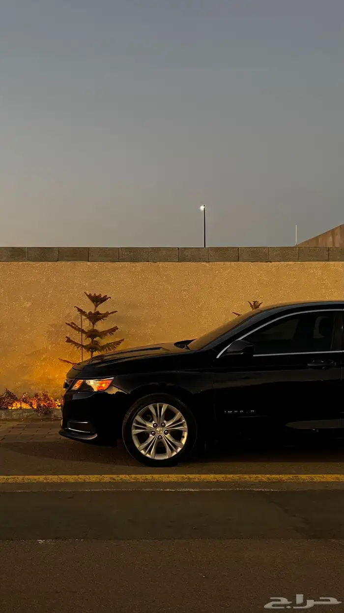 امبالا 2015 LS 10